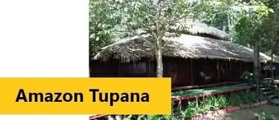 Amazon Tupana Lodge - Clique para mais informações e tarifas